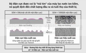 Trái tím của điện cực