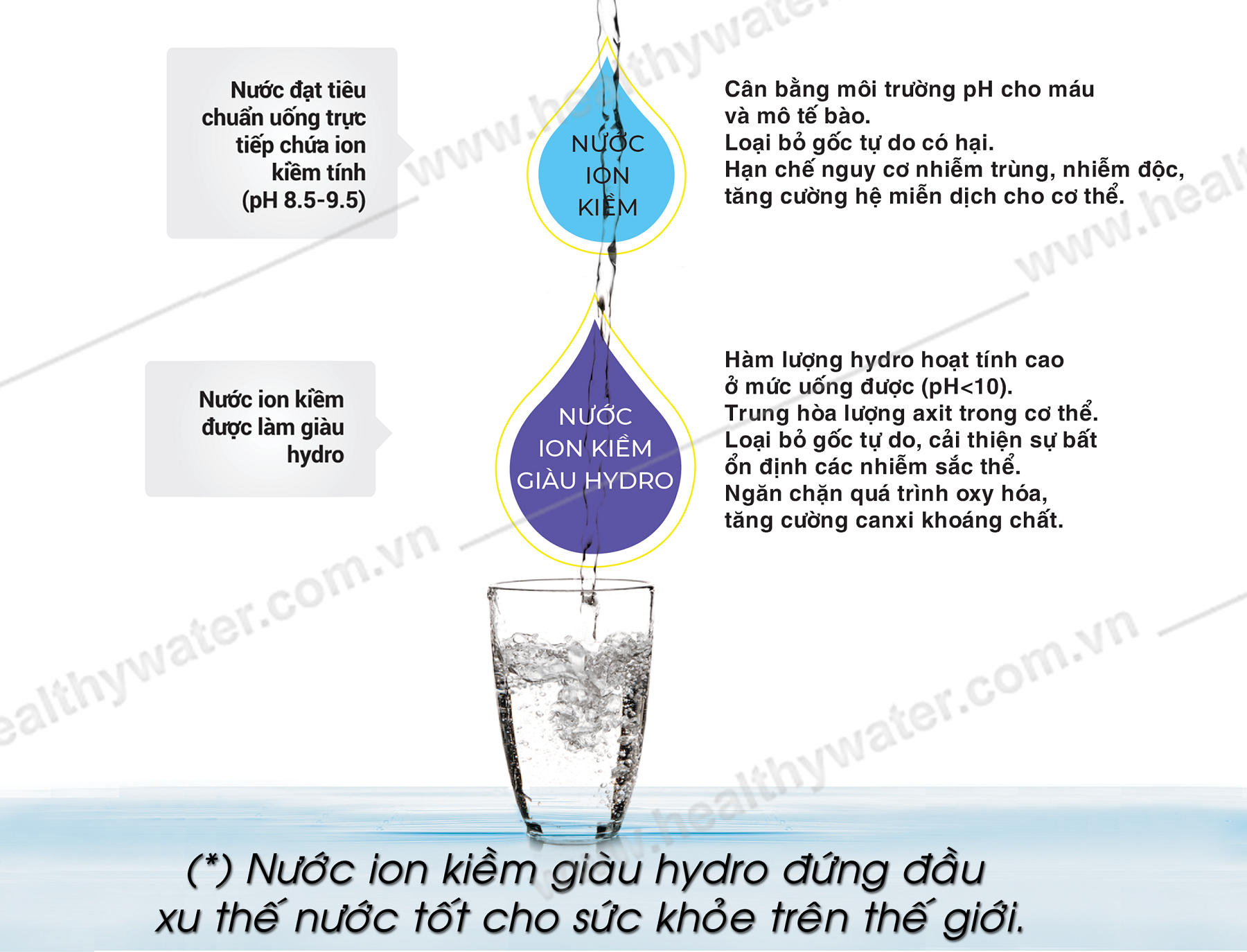 So sánh nước ion kiềm và nước ion kiềm giàu hydro – Nước sinh hoạt ...