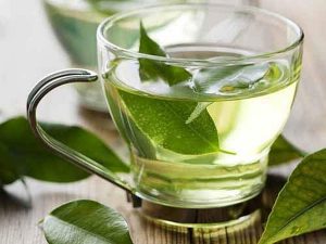 Uống nước lá vối tươi