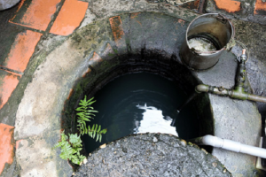 Nước nhiễm vi khuẩn Coliform