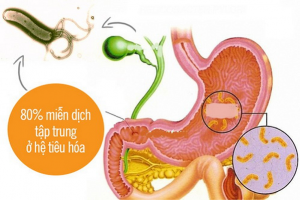 Rối loạn tiêu hóa do vi khuẩn Coliform