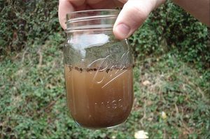 Nước nhiễm amoni